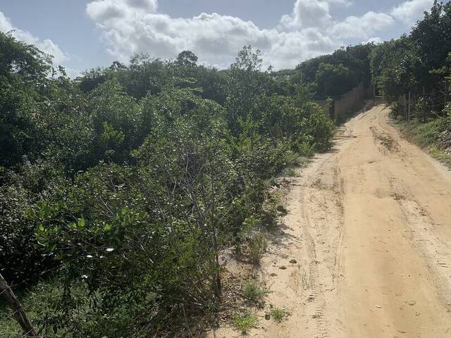 #1775 - Terreno para Venda em Tibau do Sul - RN