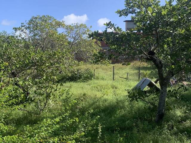 Venda em Pipa - Tibau do Sul