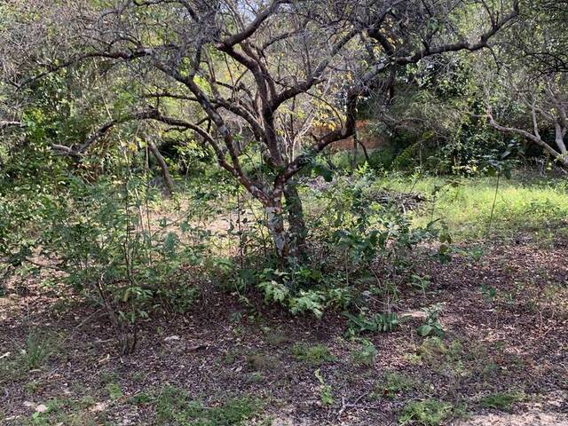 #1839 - Terreno para Venda em Vila Flor - RN - 2