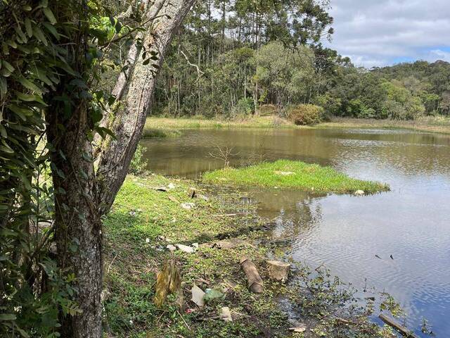 Venda em Itajacuru - Colombo