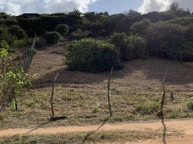 #1889 - Área para Venda em Tibau do Sul - RN - 2