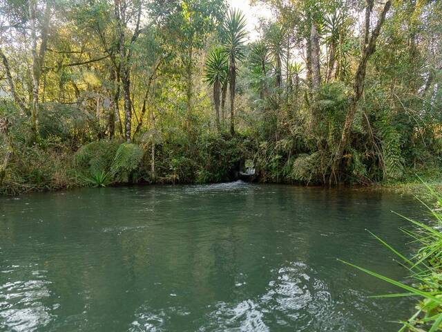 Venda em Retiro - Campo Largo