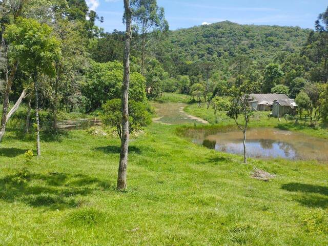 Venda em Retiro - Campo Largo